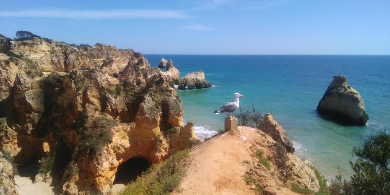 T2 De Luxo Em Albur-Village A 10 Minutos Da Praia A Pe Alvor Exteriör bild